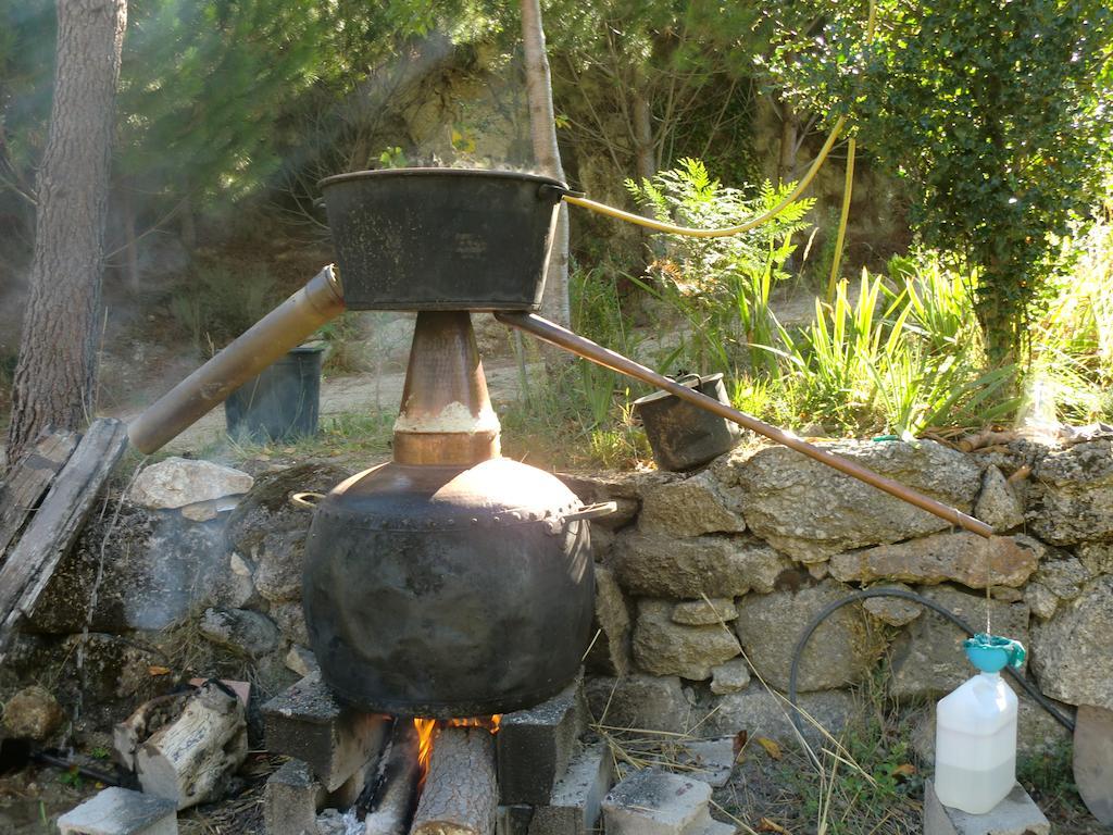 Quinta Do Circo - Serra Da Estrela - Turismo Rural Cortes do Meio Екстер'єр фото